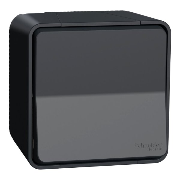 Накладний перехресний вимикач Schneider Electric MUR35023 IP55 (чорний)