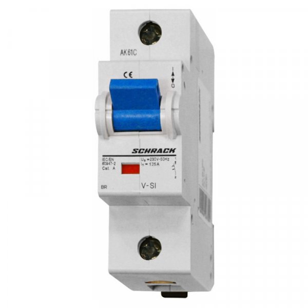 Автоматический выключатель 10кА 1P 125A х-ка C Schrack BR971912