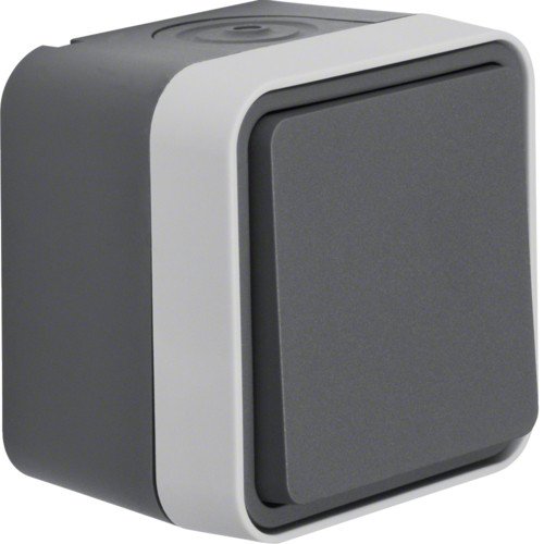 30763505 Переключатель IP55, серый, 10АX/250В W.1 Berker