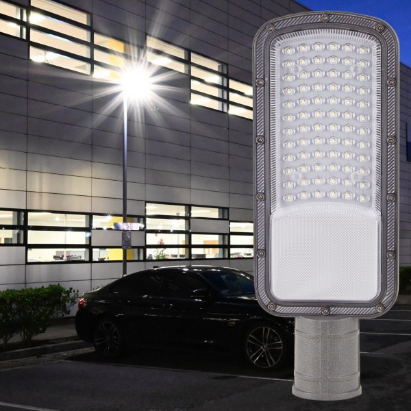 Светильник консольный Евросвет Skyflow-E2 50 Вт 6400К IP65 000059934