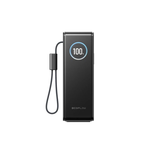 Павербанк EcoFlow RAPID Power Bank с кабелями 25000mAh серебристый