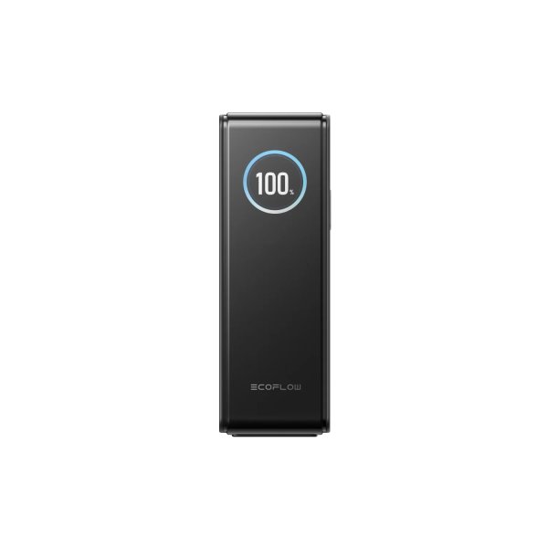 Павербанк EcoFlow RAPID Power Bank 25000mAh черный