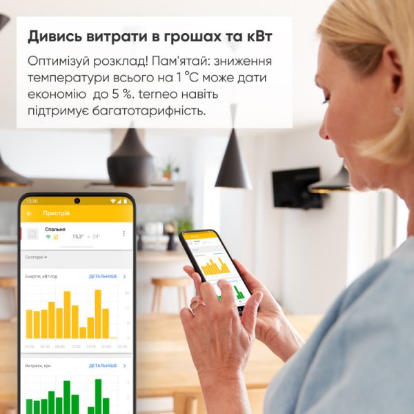 Термореле terneo bх Wi-Fi
