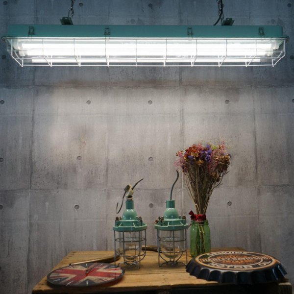 Лампа світлодіодна трубчаcта ЕВРОСВЕТ PRO 18Вт 6400K L-1200 T8 G13 000042356