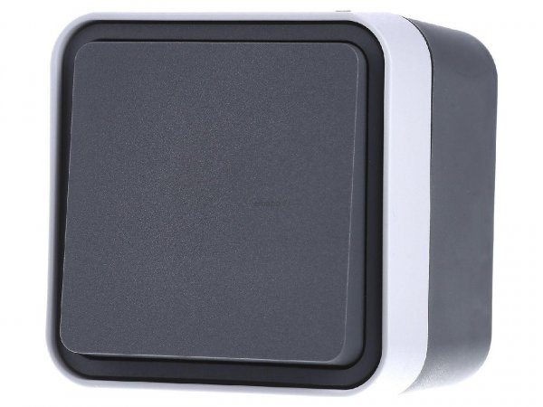 30763505 Переключатель IP55, серый, 10АX/250В W.1 Berker
