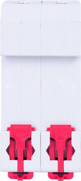 P042044 Модульний автоматичний вимикач e.mcb.pro.60.2.C 4 new, 2р, 4А, C, 6кА new